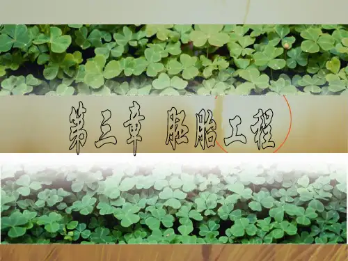 高中生物选修三课件 第三章 胚胎工程1
