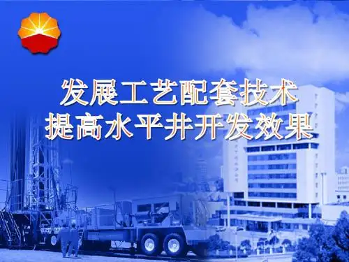 水平井井下作业技术交流(大庆油田公司) 共23页PPT资料