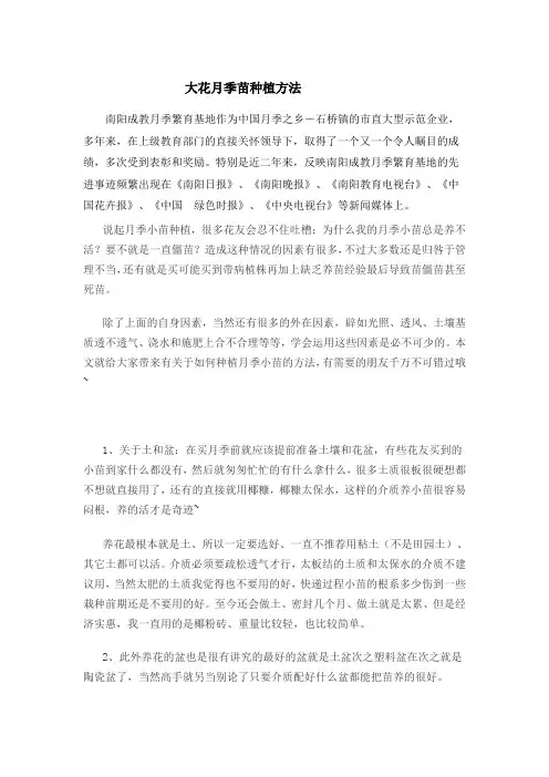 大花月季苗种植方法