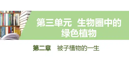 人教版生物七年级上册(课件)第3单元 第2章 被子植物的一生 1.2种子萌发的自身条件和过程