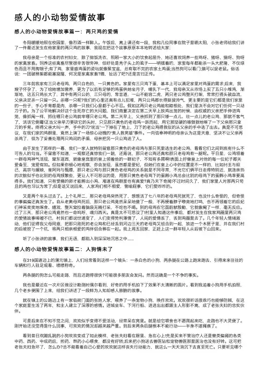 感人的小动物爱情故事