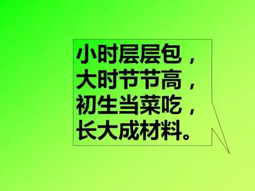 小学语文二年级下册芛芽儿第一课时