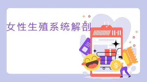 女性生殖系统解剖详解