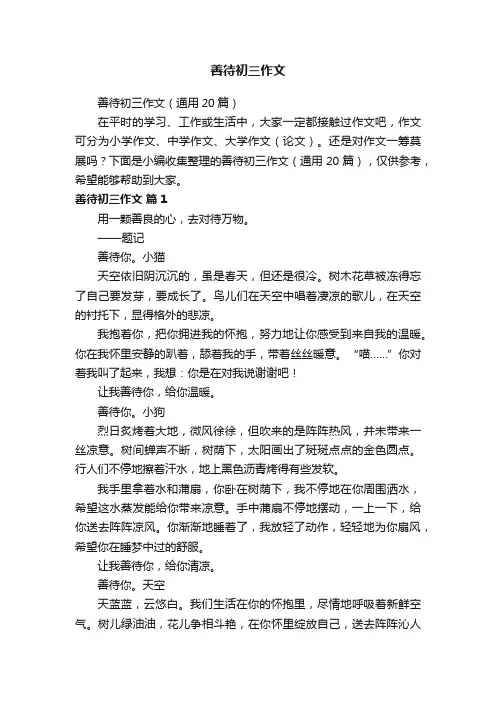 善待初三作文