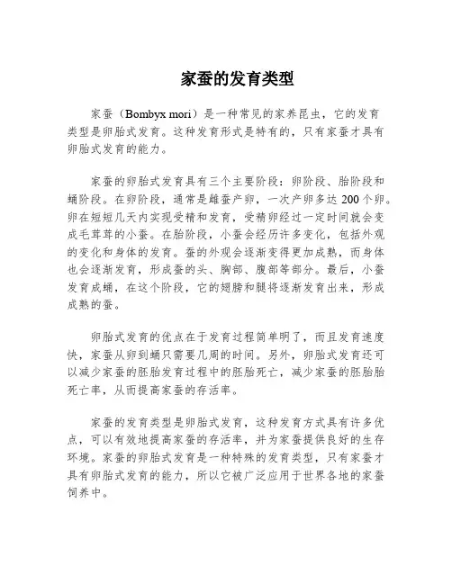 家蚕的发育类型
