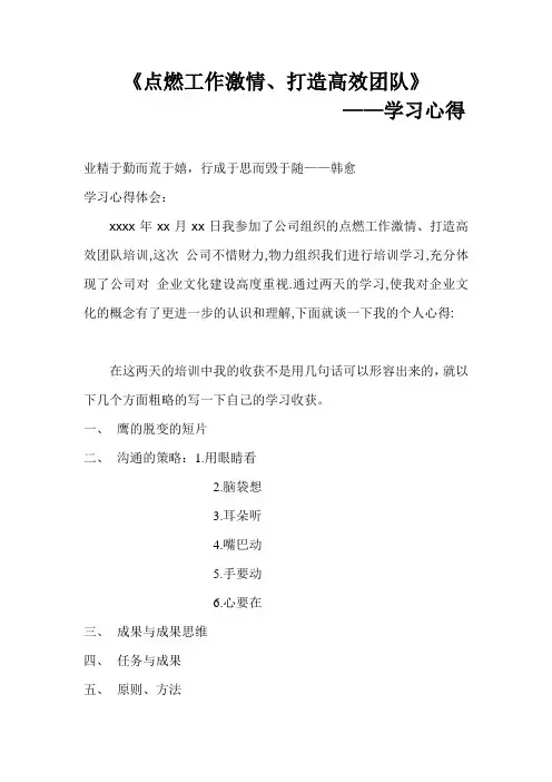 点燃工作激情打造高效团队学习心得