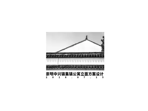 中兴镇公寓立面设计