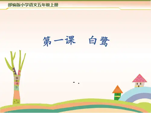 《白鹭》PPT教学课件