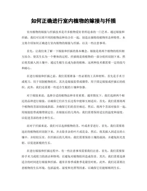 如何正确进行室内植物的嫁接与扦插