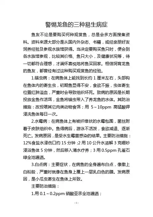 警惕龙鱼的三种易生病症