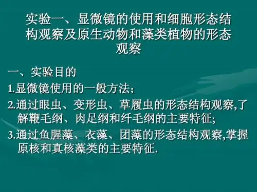 实验 显微镜实验原生动物藻类植物