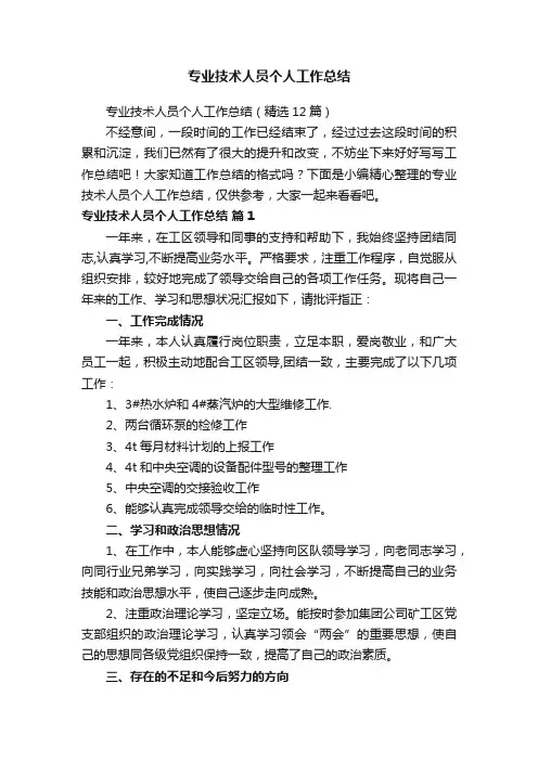 专业技术人员个人工作总结