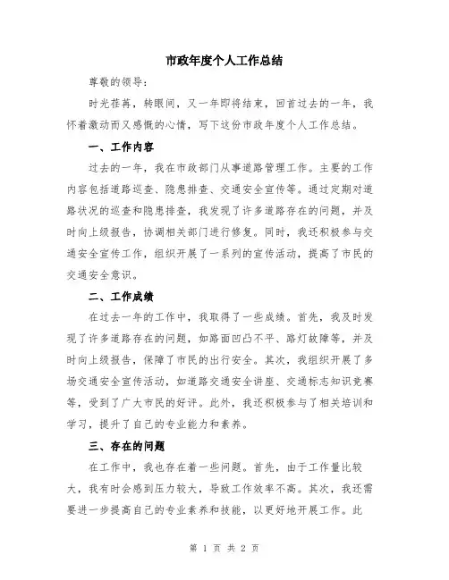 市政年度个人工作总结