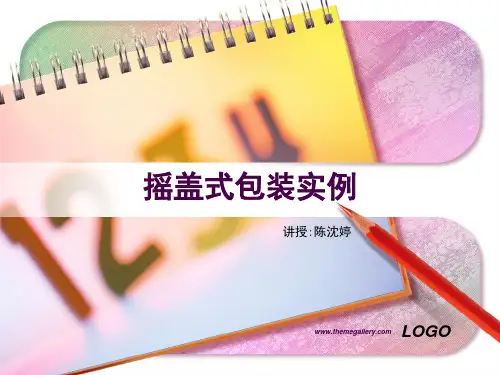 摇盖式包装实例