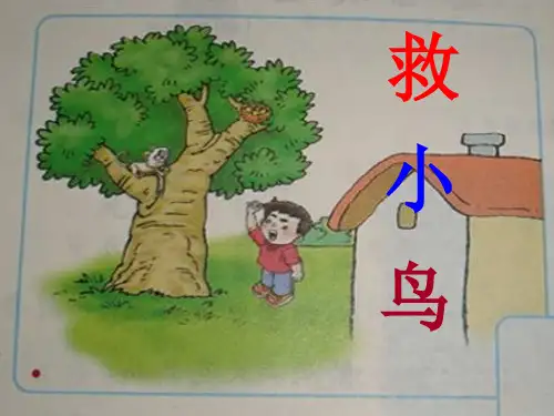 二年级看图写话救小鸟 2