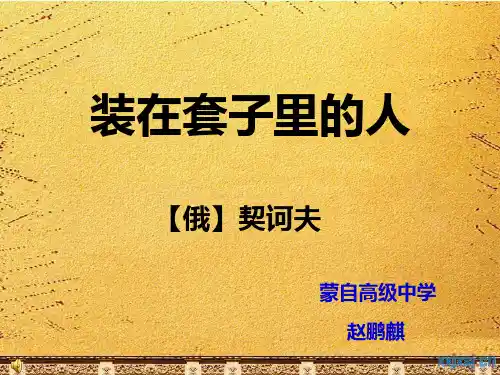 装在套子里的人 优质课一等奖
