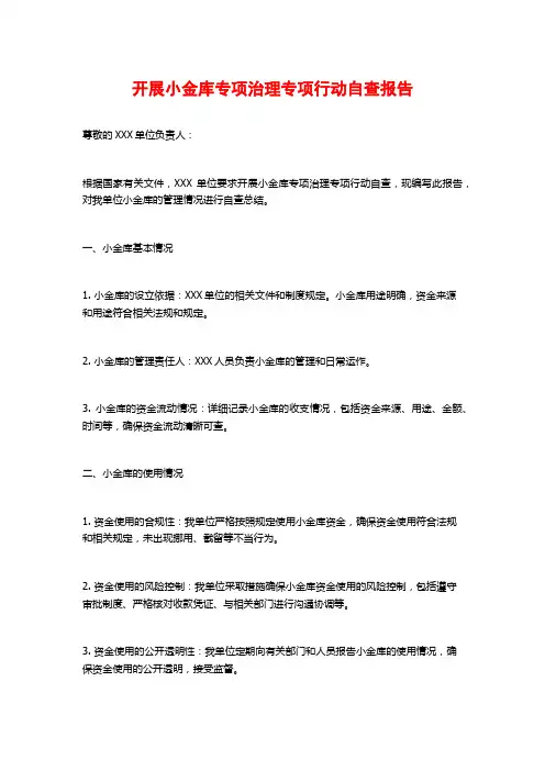 开展小金库专项治理专项行动自查报告