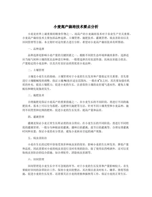 小麦高产栽培技术要点分析