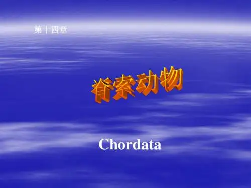 第14章 脊索动物门
