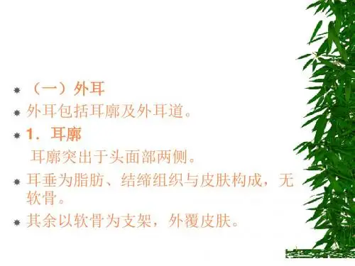 耳的应用解剖及生理ppt课件