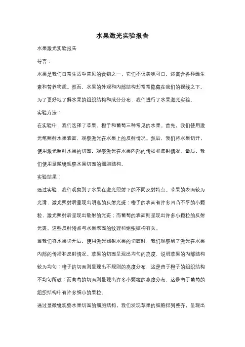 水果激光实验报告