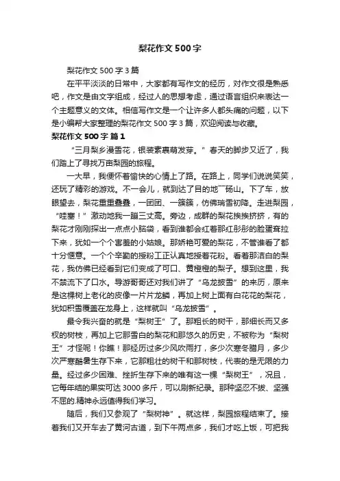 梨花作文500字3篇