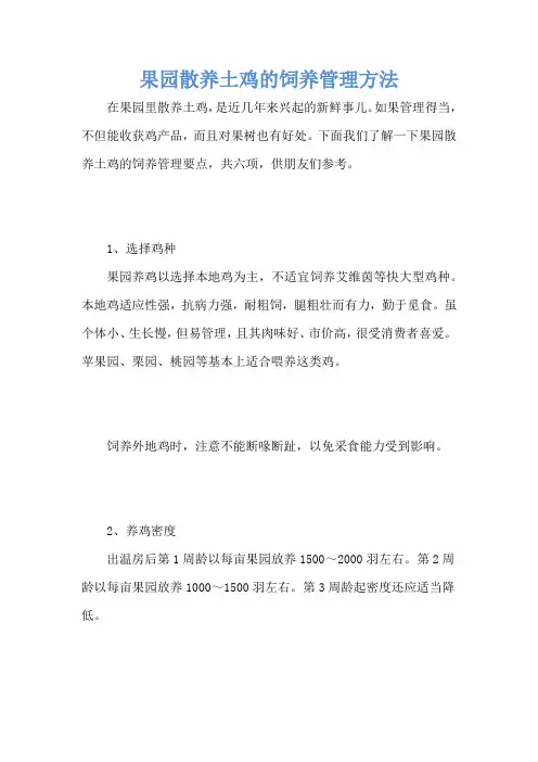 果园散养土鸡的饲养管理方法