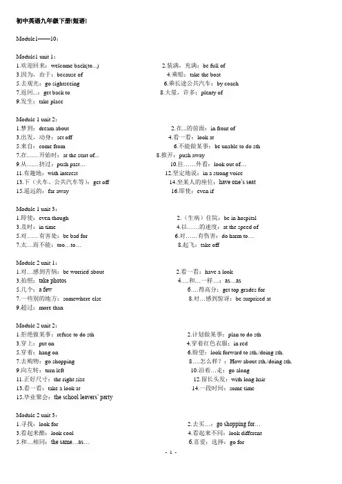 初中英语九年级下册[短语]