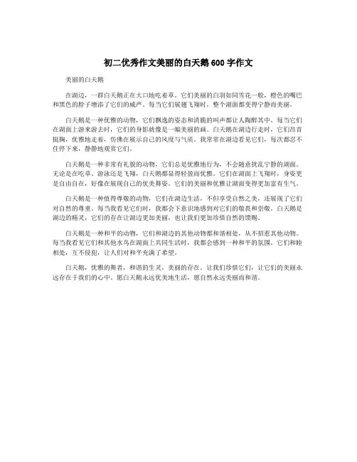 初二优秀作文美丽的白天鹅600字作文