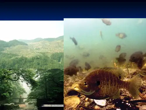 生态系统的平衡