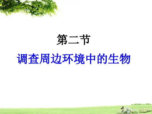 人教版七年级生物上册第1单元第1章第2节调查周边环境中的生物 课件(共36张PPT)