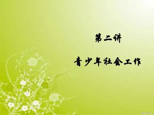 青少年社会工作(精)