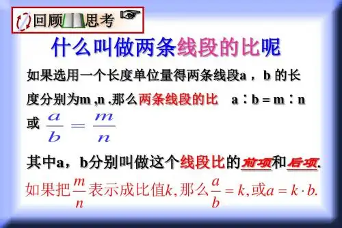4.1 线段的比(2)课件1