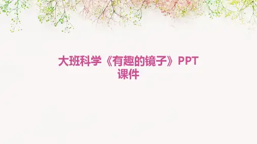 大班科学《有趣的镜子》PPT课件