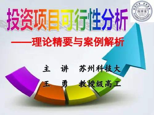 投资项目可行性分析(第2版)