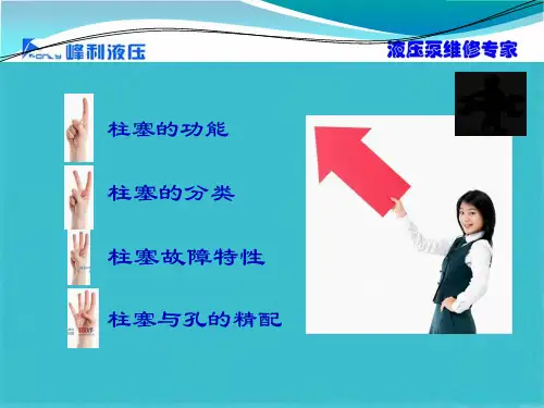 柱塞泵的维修之      柱塞的深度解析(共53张PPT)