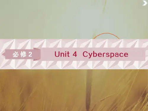 2019届高考英语北师大版总复习课件：必修2 Unit 4 Cyberspace 精品