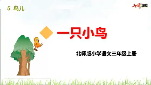 北师版小学语文三年级上册一只小鸟35鸟儿-PPT课件 