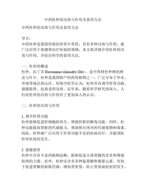 中药杜仲的功效与作用及食用方法