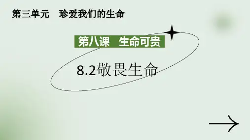 8.2 敬畏生命 课件(19张PPT)-2024-2025学年统编版道德与法治七年级上册.ppt