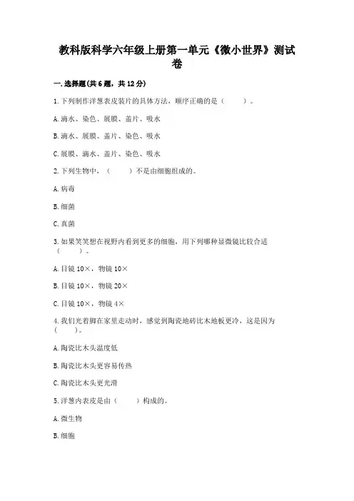 教科版科学六年级上册第一单元《微小世界》测试卷汇编
