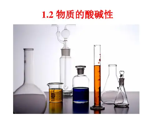 第2节 物质的酸碱性