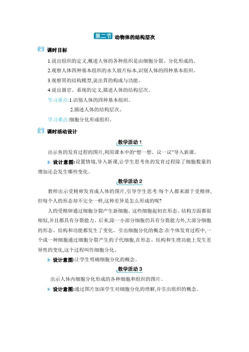 2024年人教版七年级生物上册教学设计全册生物和细胞第三章从细胞到生物体第二节动物体的结构层次