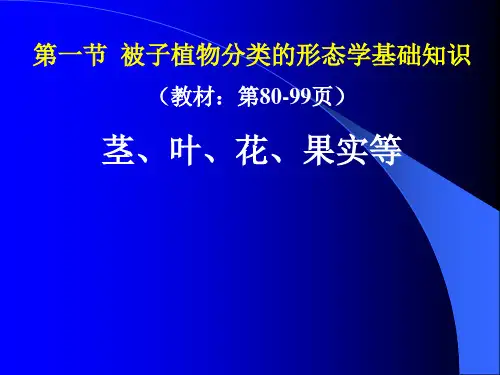 被子植物的分类