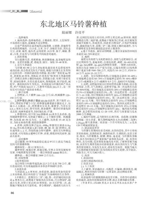 东北地区马铃薯种植
