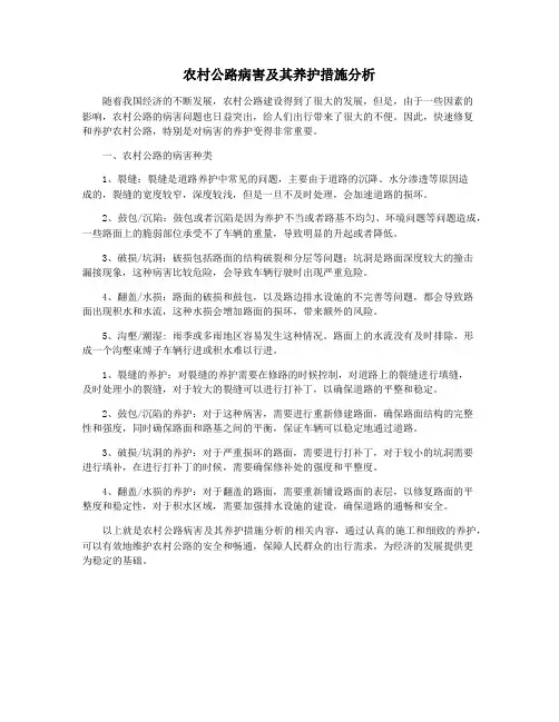 农村公路病害及其养护措施分析