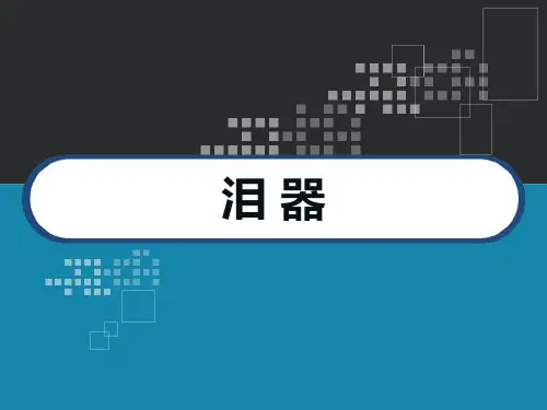泪器解剖及临床 PPT