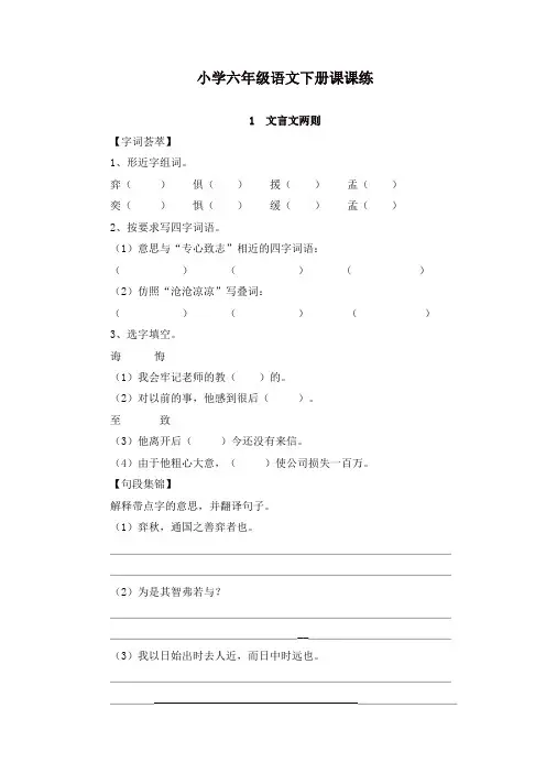 【精选】部编人教版小学六年级语文下册全册课课练