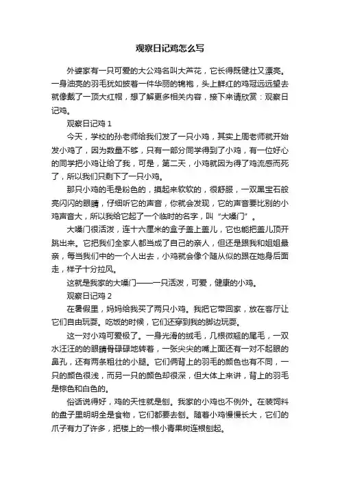 观察日记鸡怎么写
