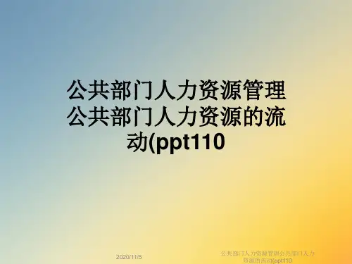 公共部门人力资源管理公共部门人力资源的流动(ppt110